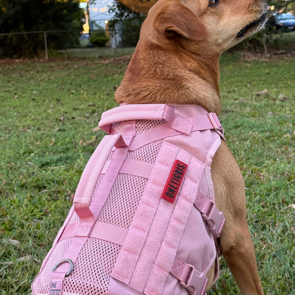 ONETIGRIS - AIRE Mesh Dog Harness
