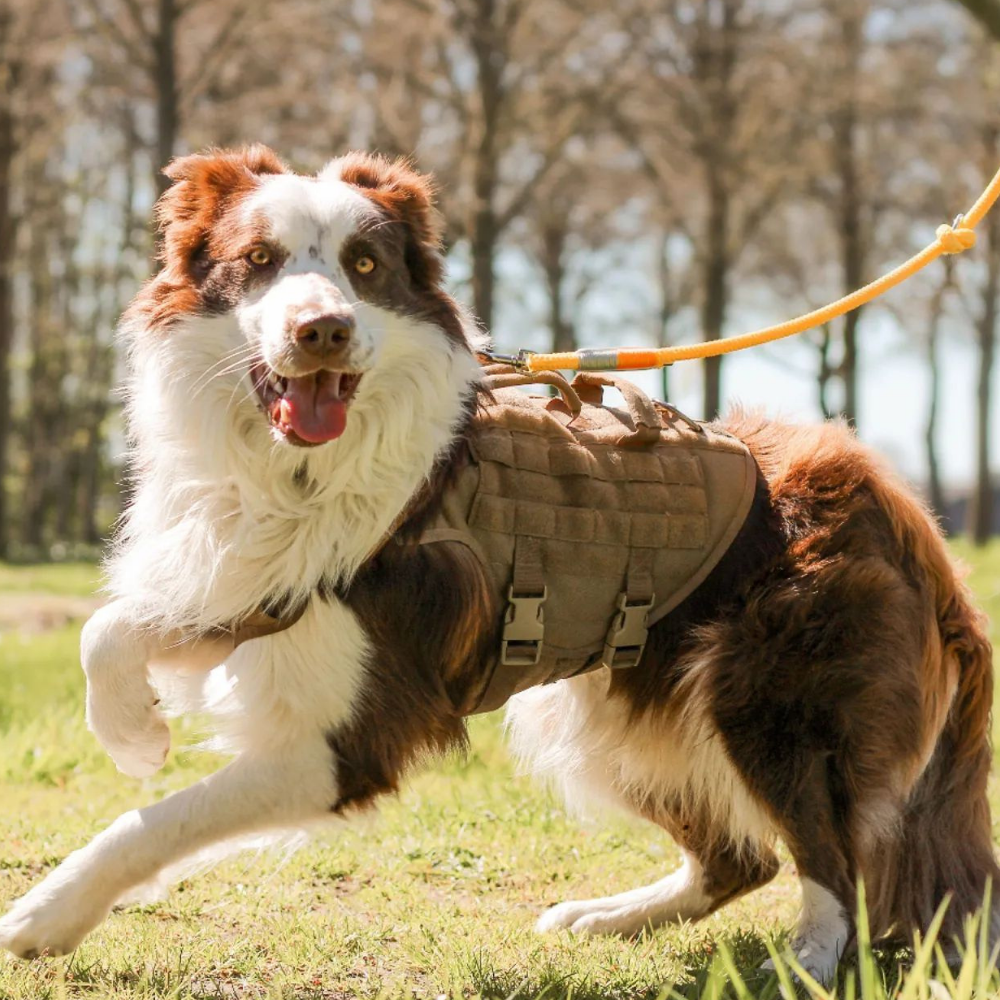 ONETIGRIS - AIRE Mesh Dog Harness