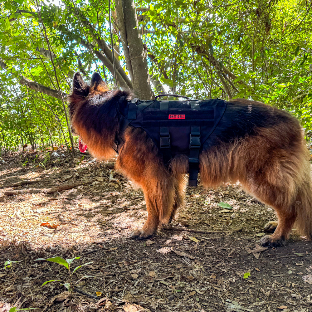 ONETIGRIS - AIRE Mesh Dog Harness