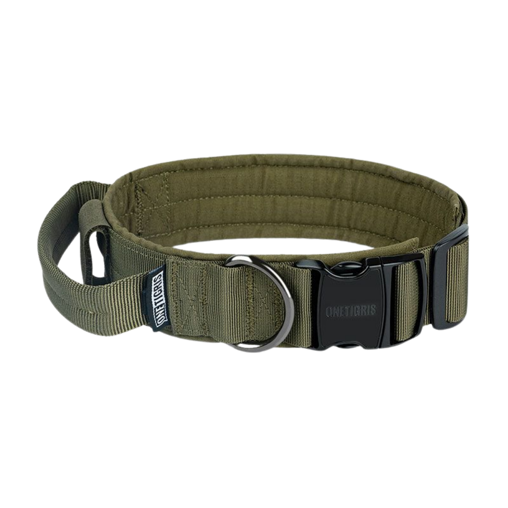 ONETIGRIS - Dog Collar 08