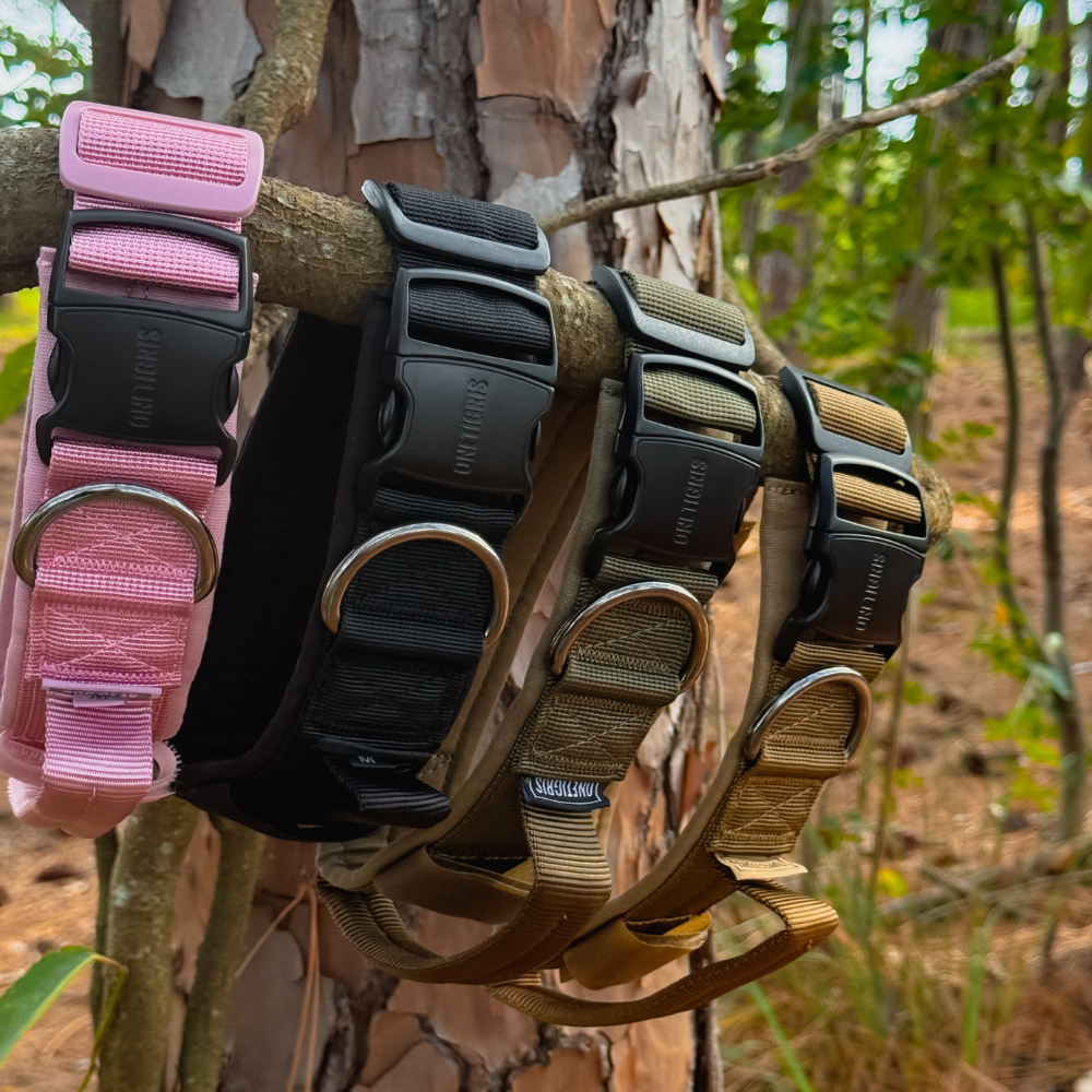 ONETIGRIS - Dog Collar 08