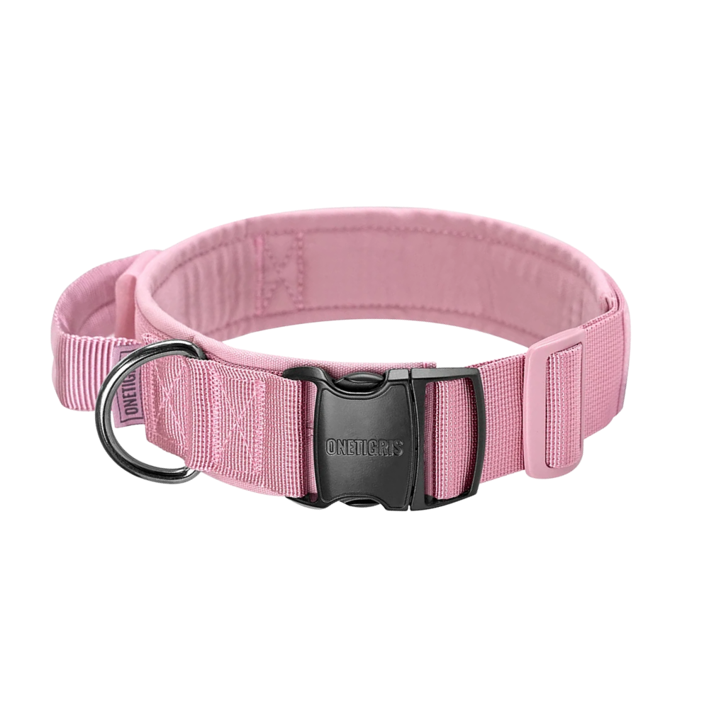 ONETIGRIS - Dog Collar 08