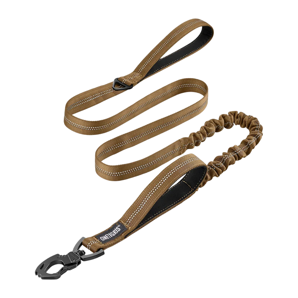 ONETIGRIS - Dog Leash 22
