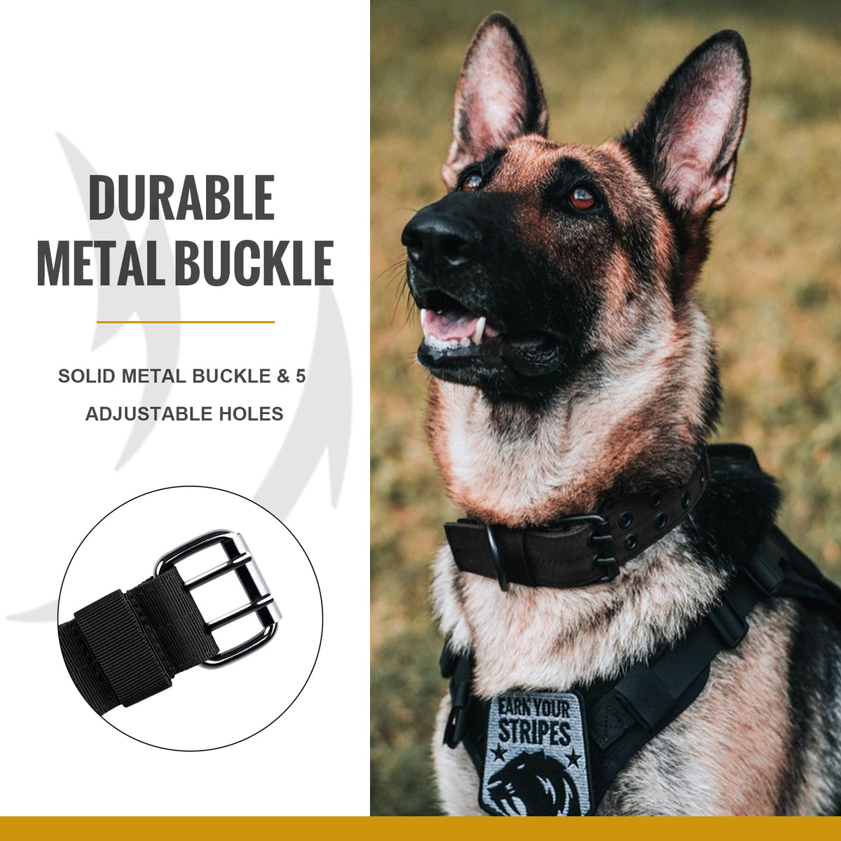 ONETIGRIS - Dog Collar 02