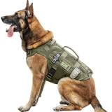 TACTICAL DOG GEAR