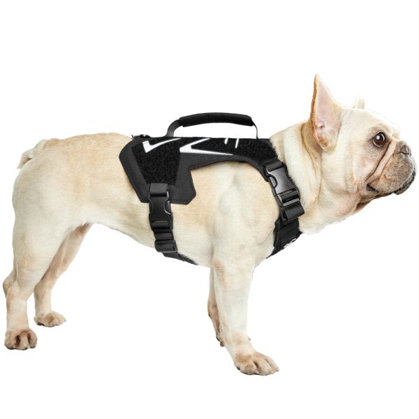 ONETIGRIS X Armor Mini Dog Harness – TacSource