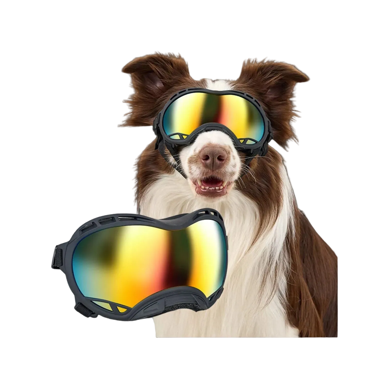 ONETIGRIS - Dog Goggles