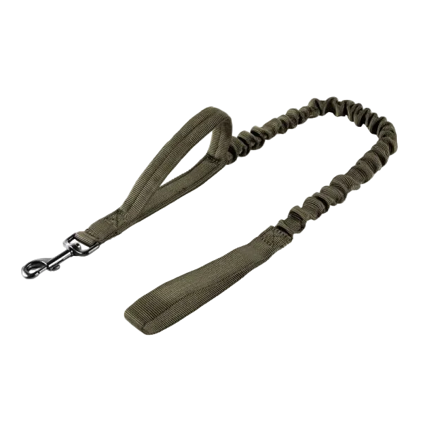 ONETIGRIS - Dog Leash 110 | Standard Clip