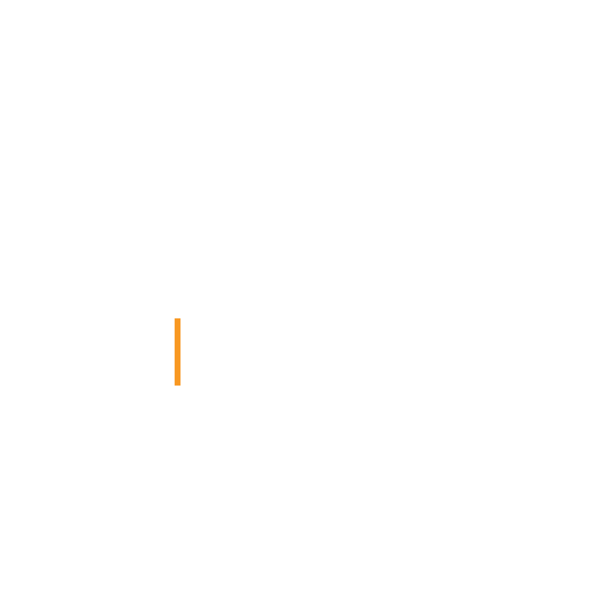 OneTigris