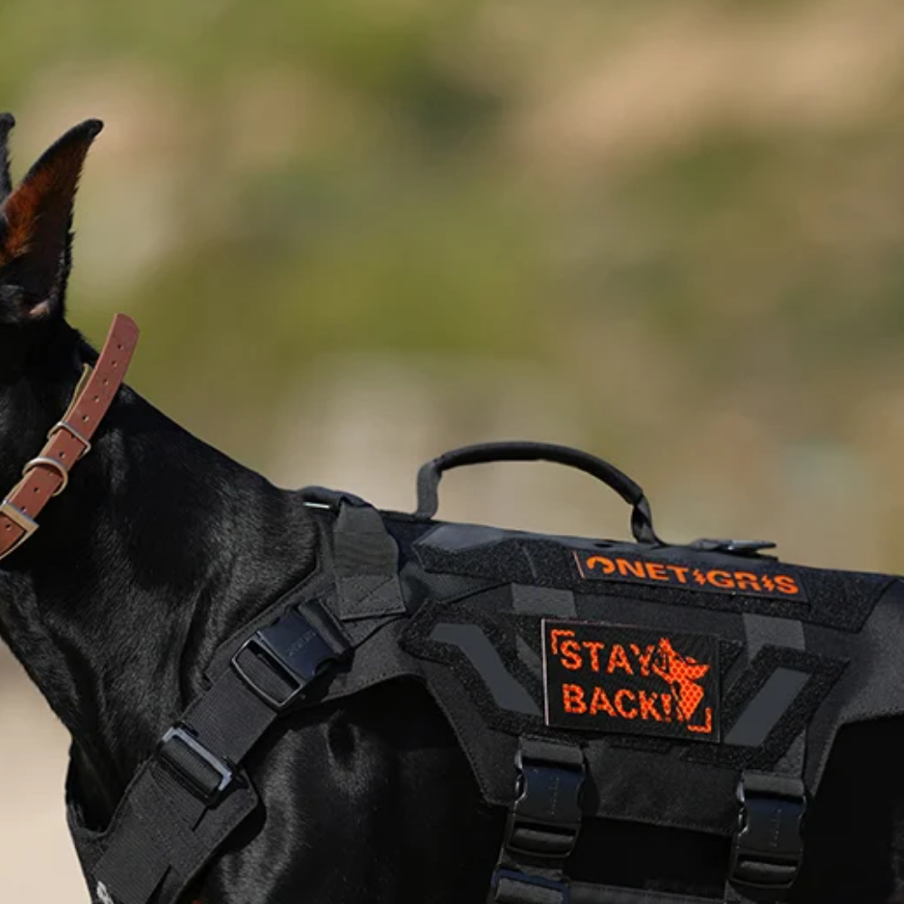 ONETIGRIS - Barking Dobie Hi-Vis Patch
