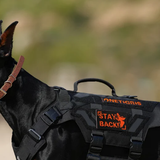 ONETIGRIS - Barking Dobie Hi-Vis Patch