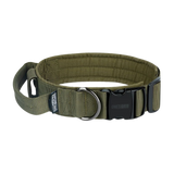 ONETIGRIS - Dog Collar 08