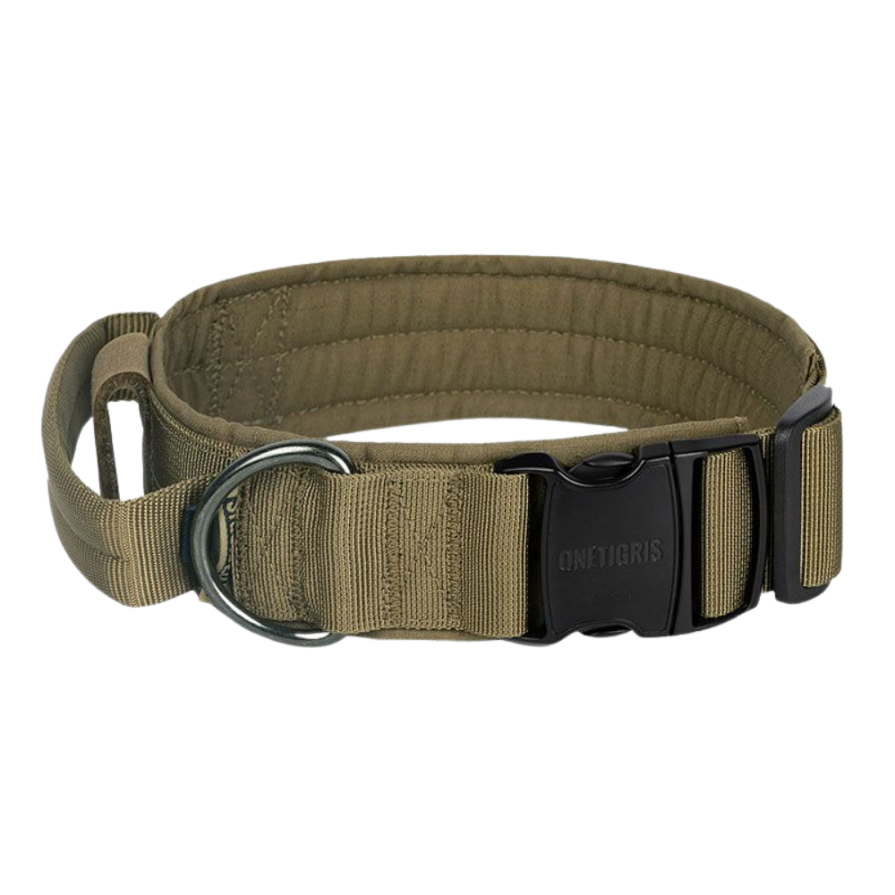 ONETIGRIS - Dog Collar 08